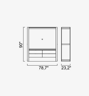 Alfa Tv Module