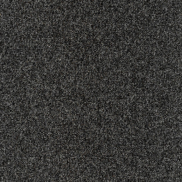 Allium 25