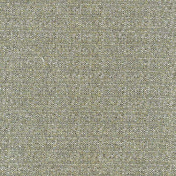 Allium 83