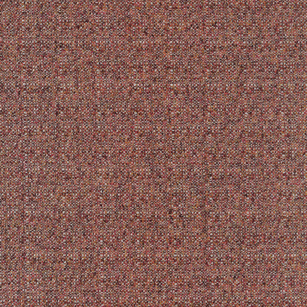 Allium 87