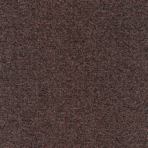 Allium 88