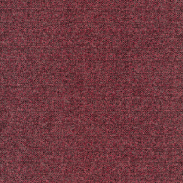 Allium 90