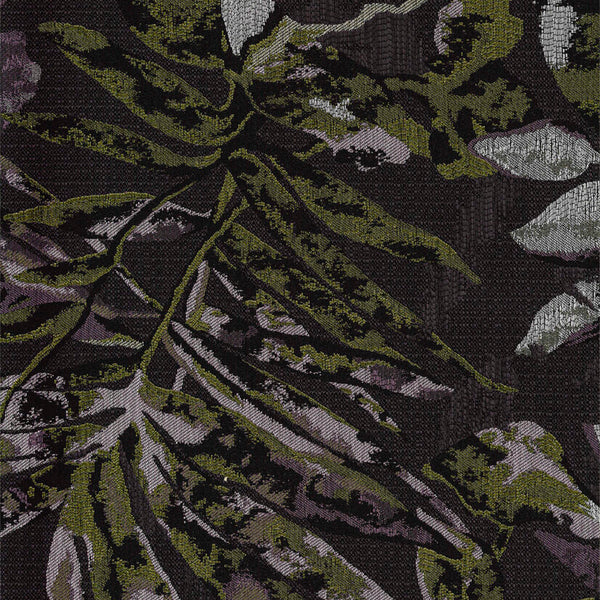Darwin 1100-01