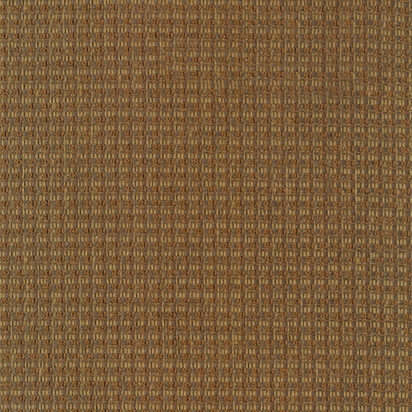 Fiugi 254503