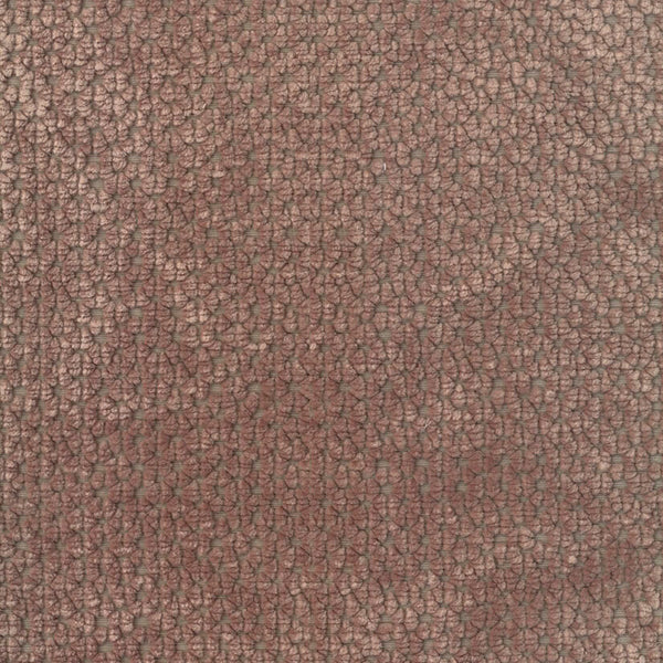 Nero 2050-02