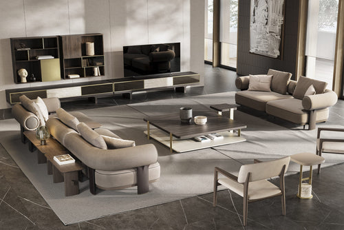 Hector TV Unit