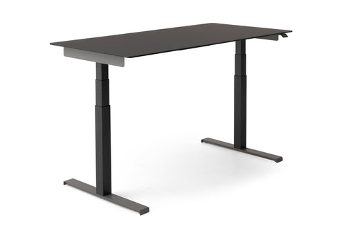 Joy Study Desk