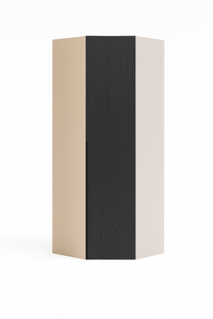 Alfa – Corner Hanging & Shelf Unit (D09)