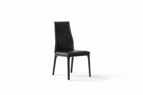 Silla Viyana Plus